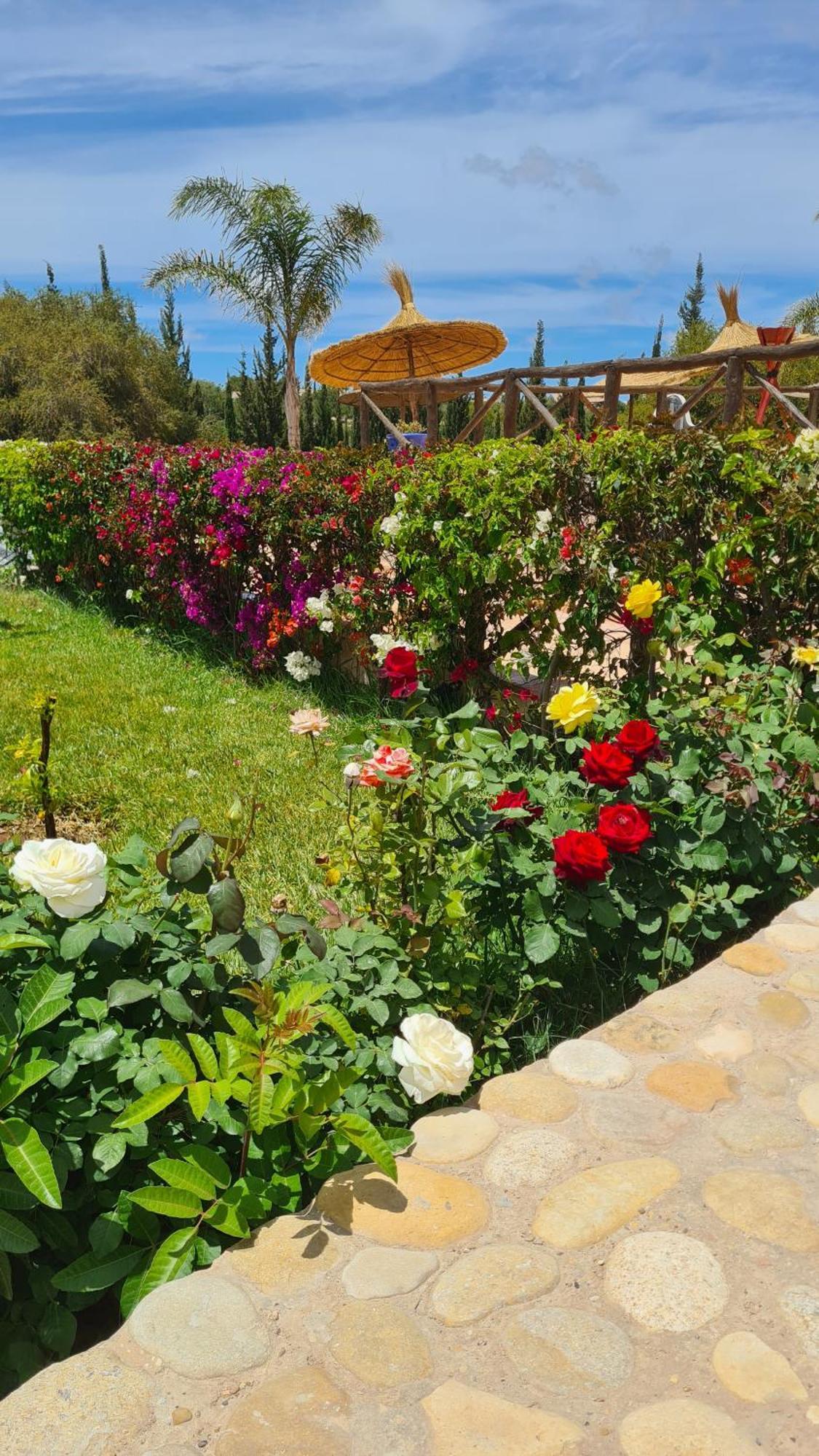 Villa Amma Essaouira Extérieur photo